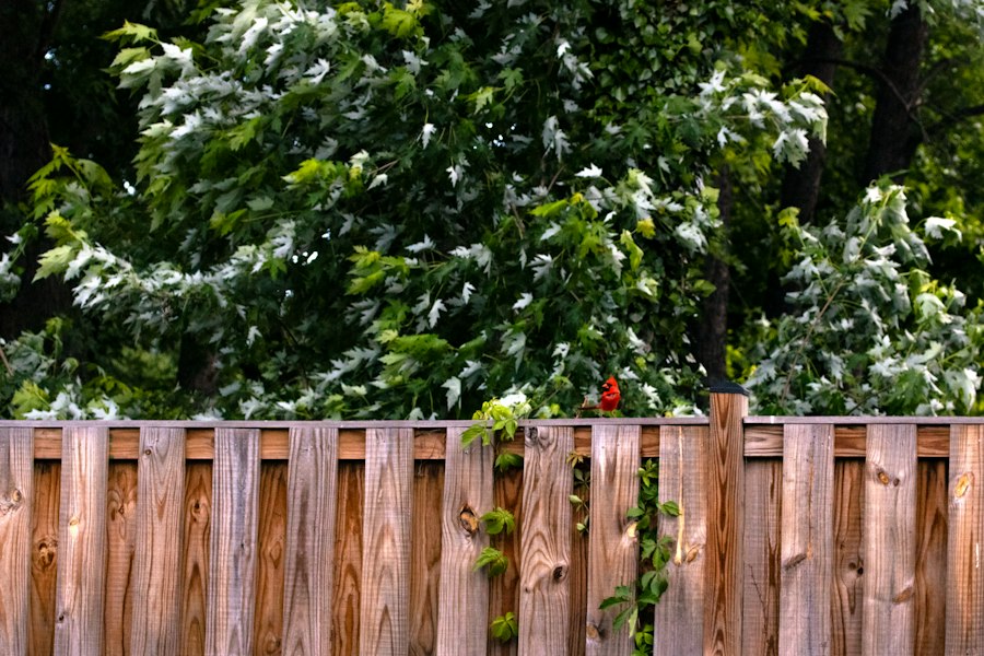 Cerca de privacidad de madera horizontal